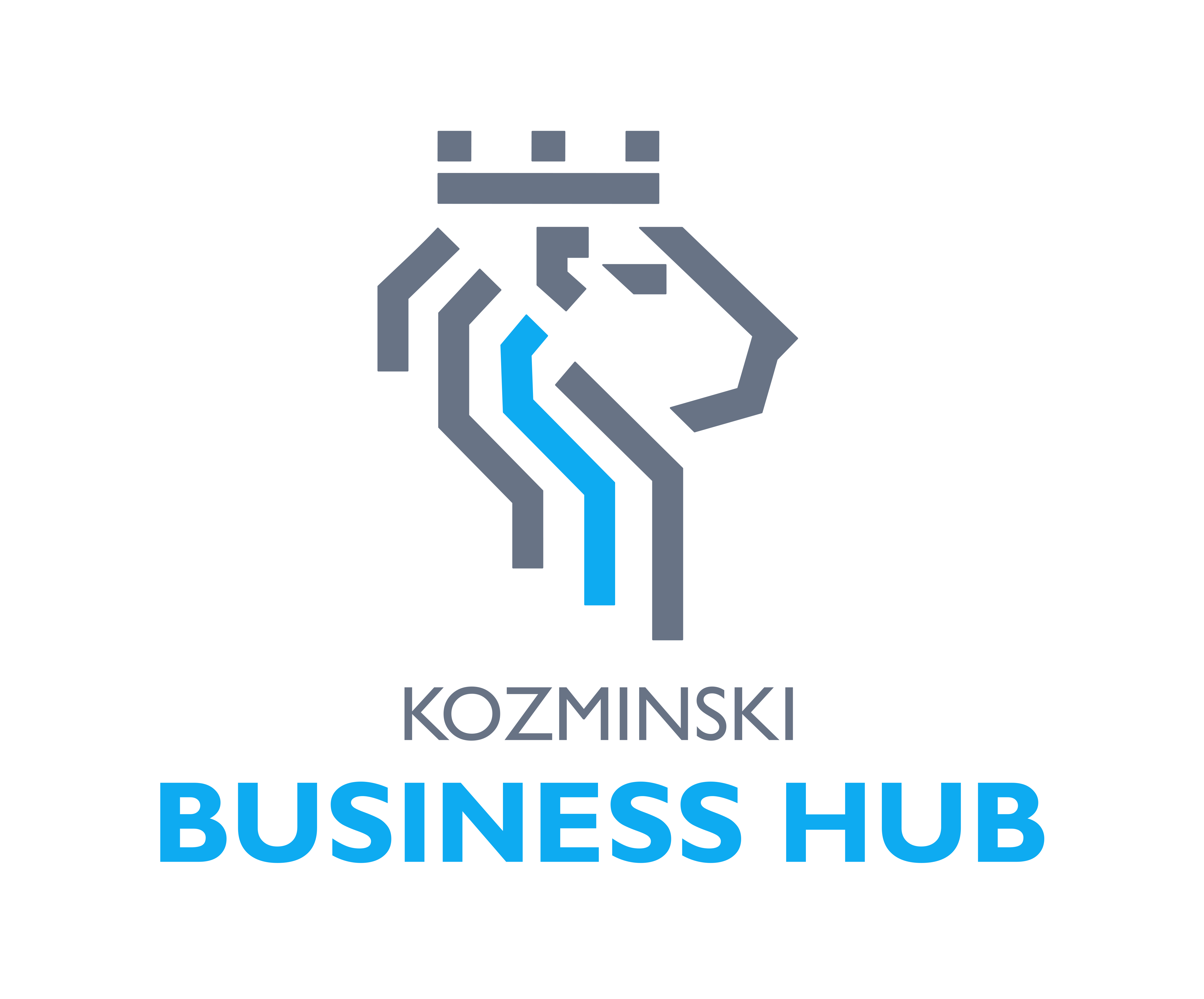 Kozminski Business Hub